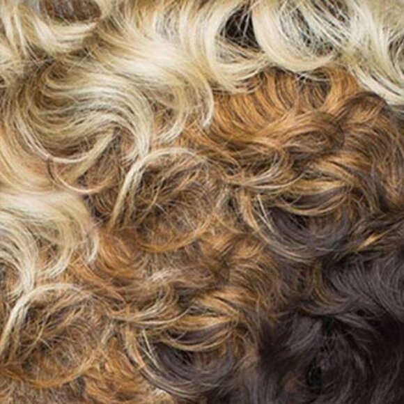 REVLON PASSION in Blonde Ambition (OMBRE shade) - Picture 2 of 5